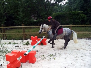  Buthiers riding lessons in Ile de France 